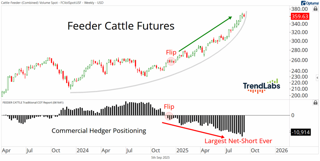 'Feeder Cattle Futures' shows a rising trend in prices with green upward arrow. Below, bar graph indicates largest net-short position.