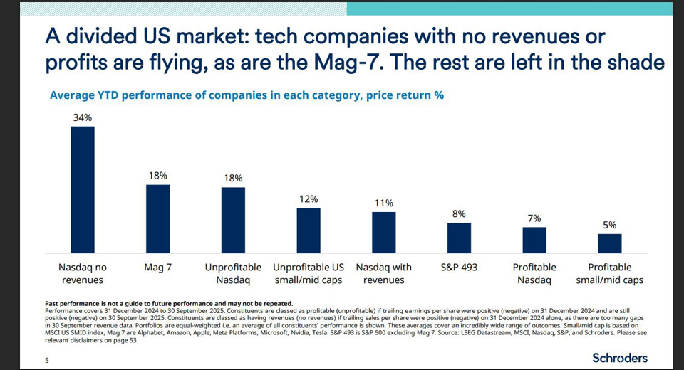 Bar chart showing average YTD performance by category. Nasdaq with no revenues leads at 34%, followed by Mag 7 and Unprofitable Nasdaq at 18%.