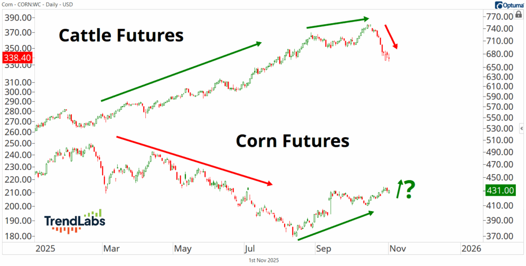 Line graph comparing Cattle and Corn Futures from January to November 2025. Cattle shows a rising trend; Corn declines, then slightly recovers.