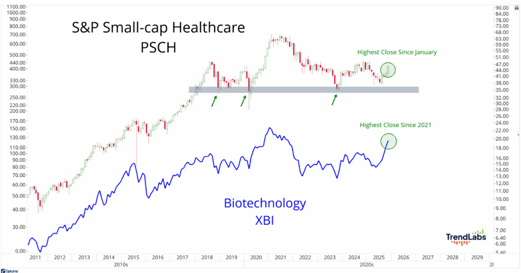 Line chart comparing S&P Small-cap Healthcare (PSCH) and Biotechnology (XBI) from 2011 to 2029. Key points and trends are highlighted with arrows and labels.
