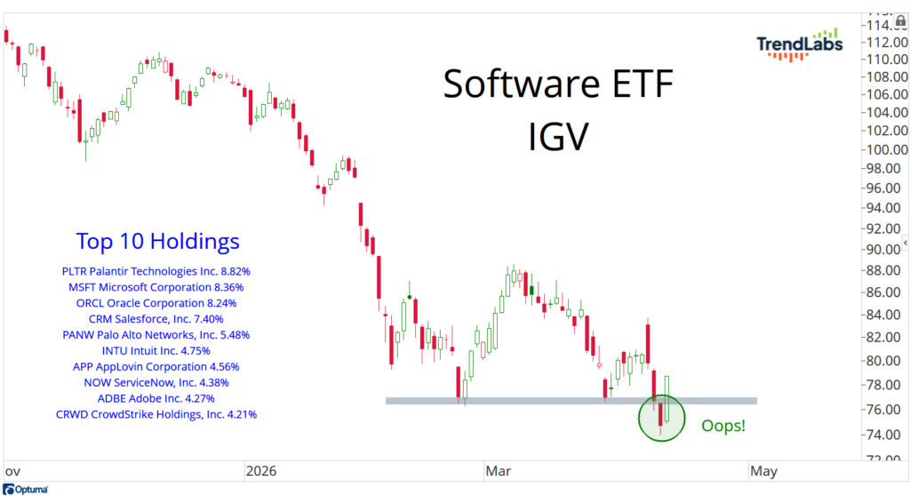 Graph showing Software ETF (IGV) with a downward trend and sudden drop labeled 'Oops!' Top 10 holdings are listed on the left. Tone: cautionary.